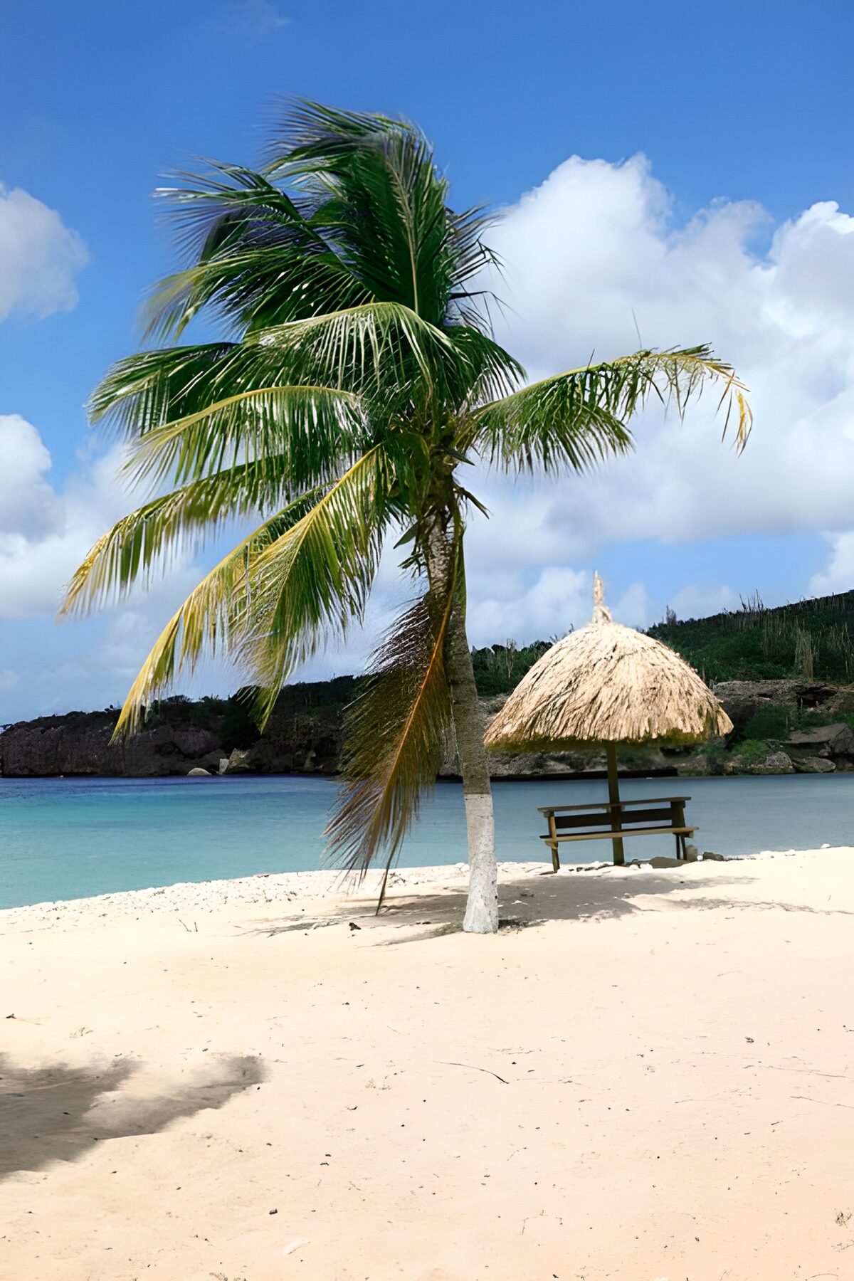 Palme und Strandbank am türkisblauen Meer