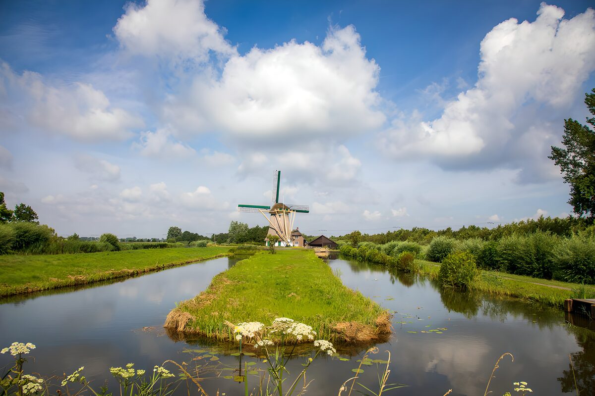 Windmühle am Kanal im satten Grün