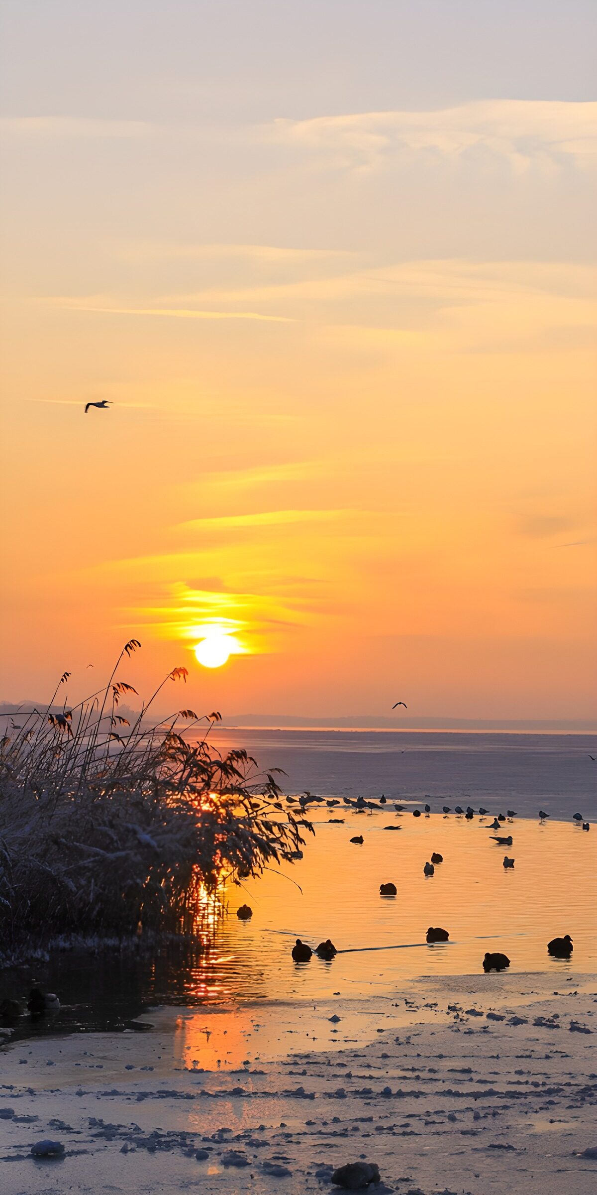 Winterufer im goldenen Sonnenuntergang