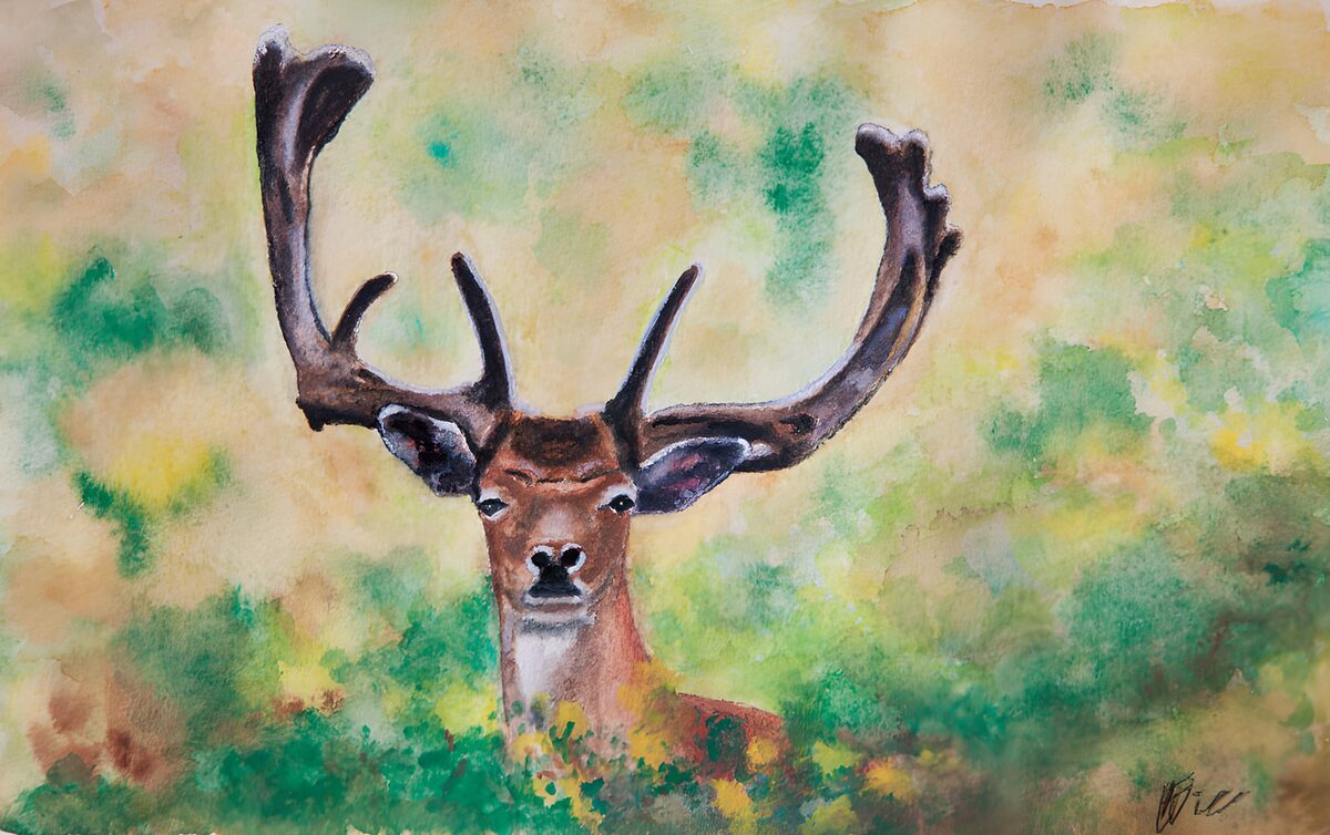 Hirschporträt in warmen Aquarelltönen
