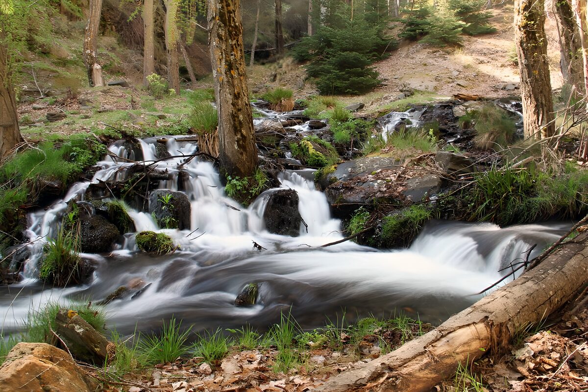 Kleine Wasserfälle im schattigen Wald