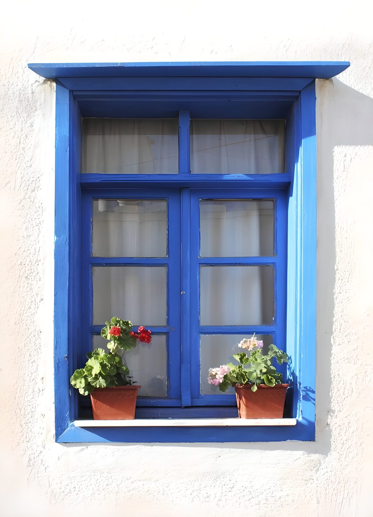 Blaues Fenster mit Geranien in der Sonne