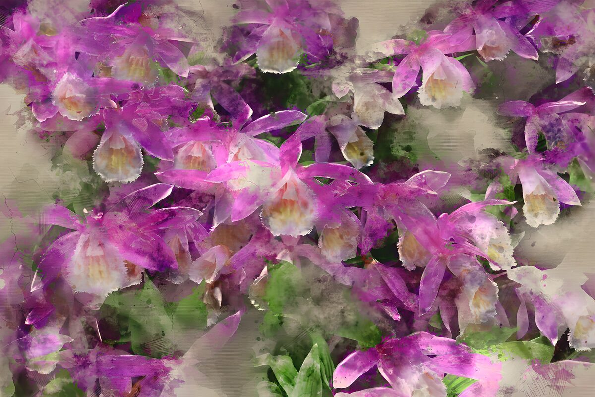 Rosa und lila Orchideen in Aquarell