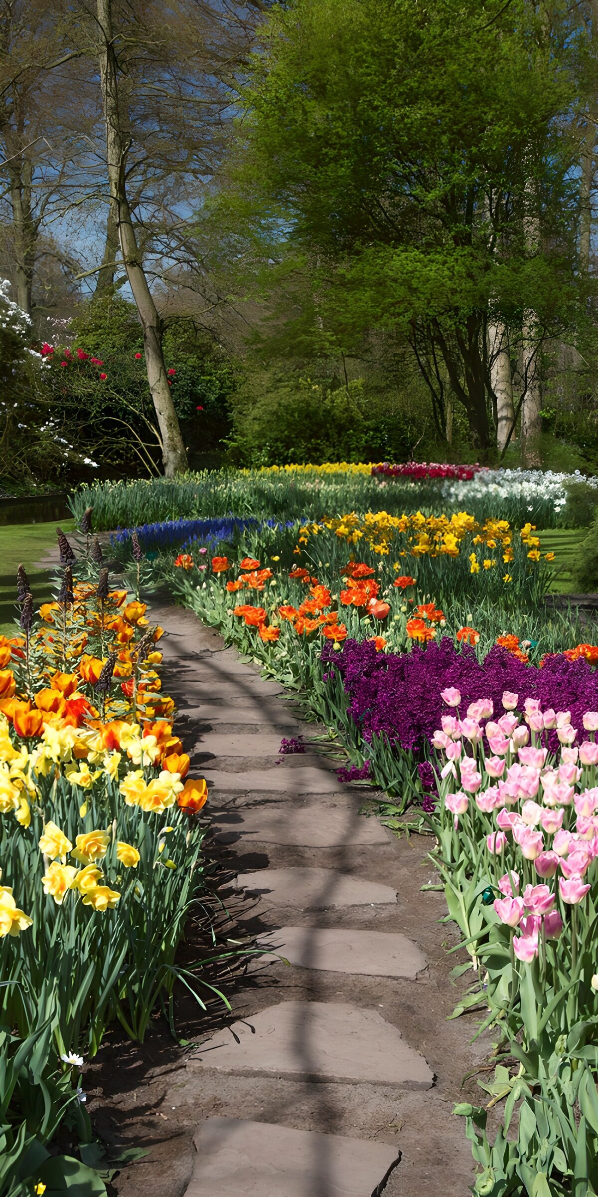 Frühlingsblumen am gewundenen Steinweg