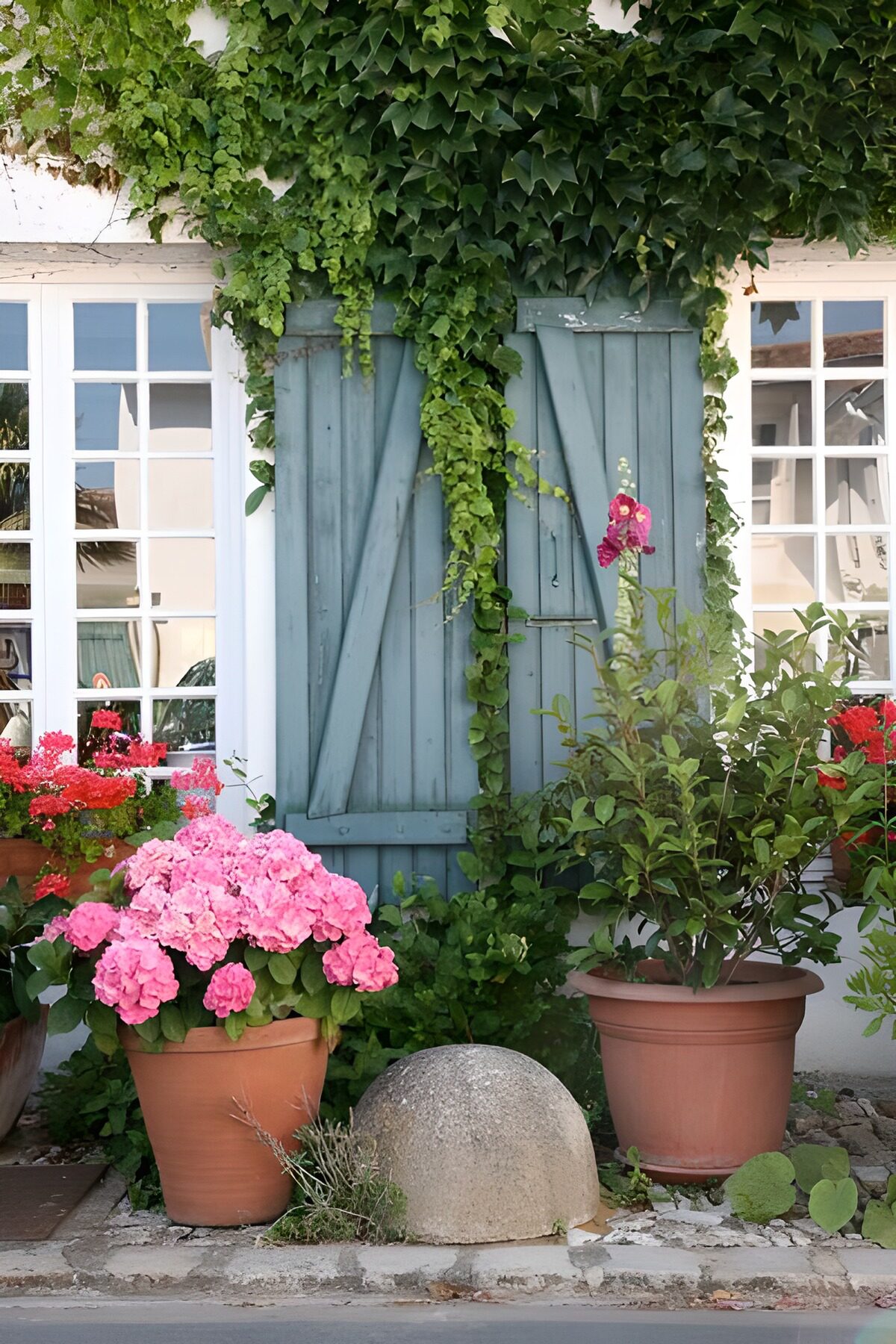 Blaue Fensterläden und rosa Hortensien