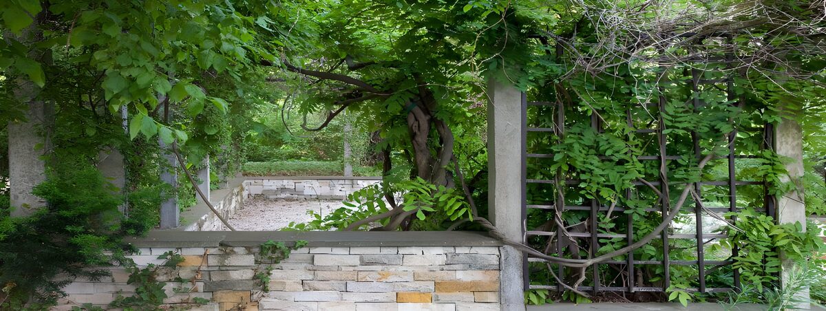 Überwachsene Pergola mit heller Steinmauer