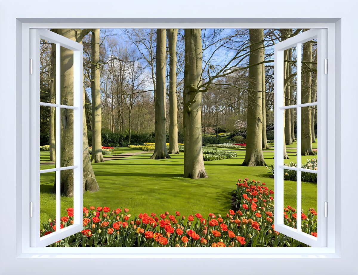 Offenes Fenster zum sonnigen Tulpenpark