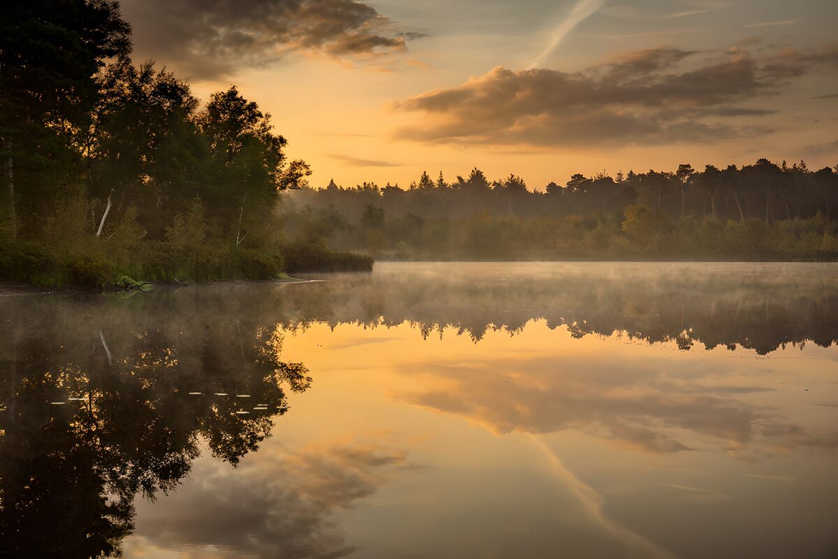 Waldsee im goldenen Dämmerlicht