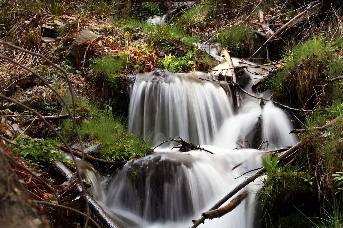Waldbach über moosige Felsstufen