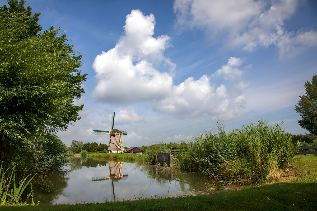 Windmühle am Wasser im Sommerlicht