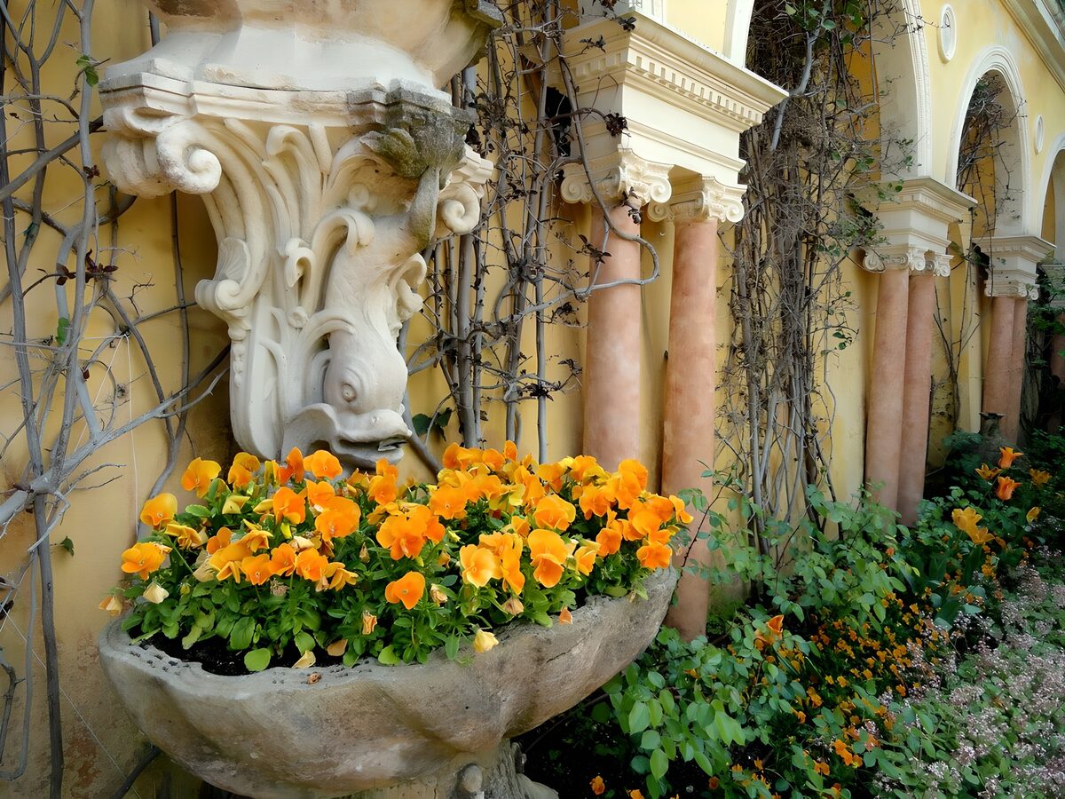 Stiefmütterchen an verzierter Gartenfassade
