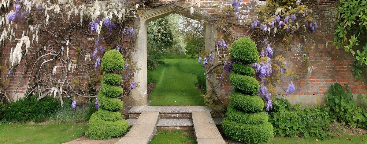 Gartenbogen mit Blauregen und Formschnitt