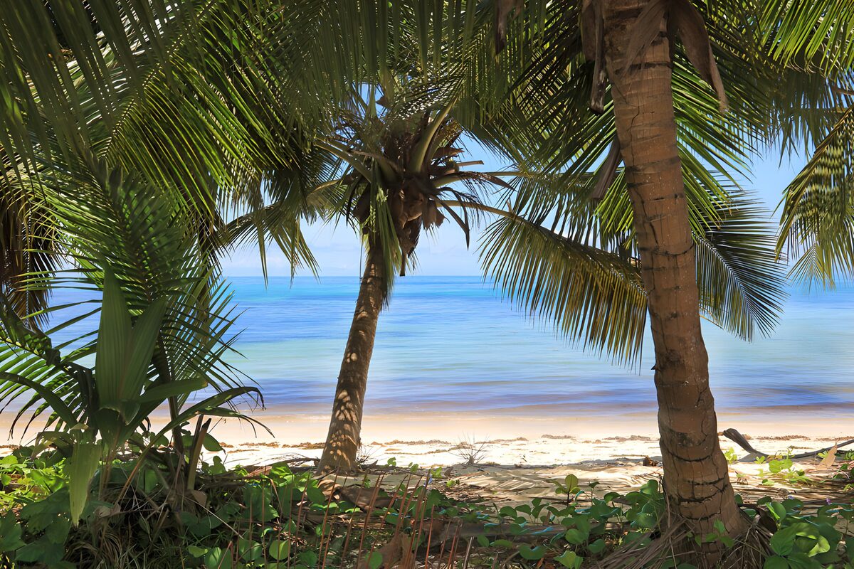 Blaues Meer im grünen Palmenrahmen