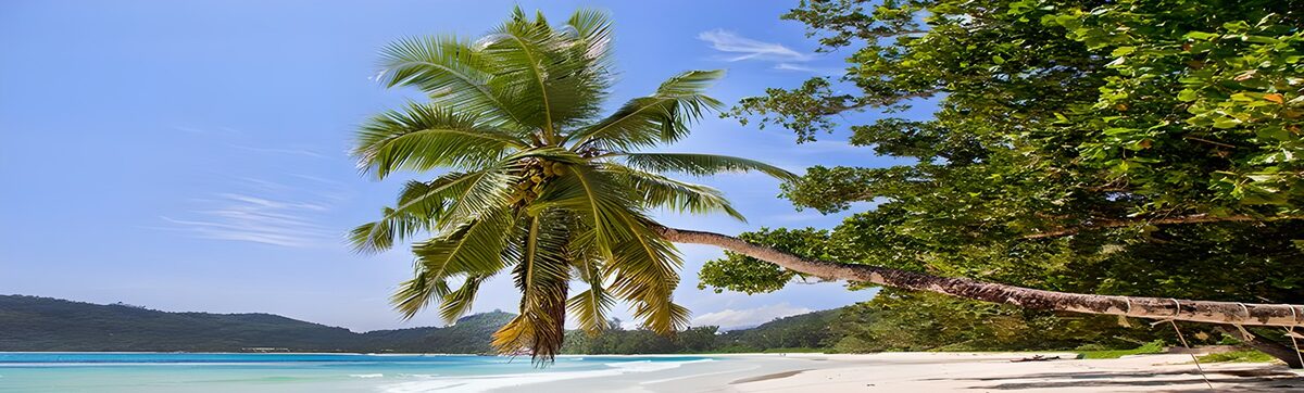 Weißer Strand im Schatten der Kokospalme