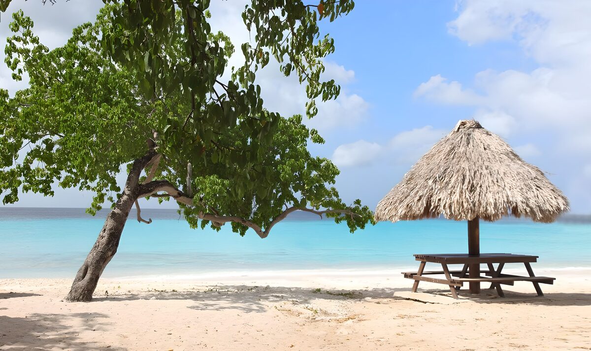 Picknicktisch und Strohschirm am Strand
