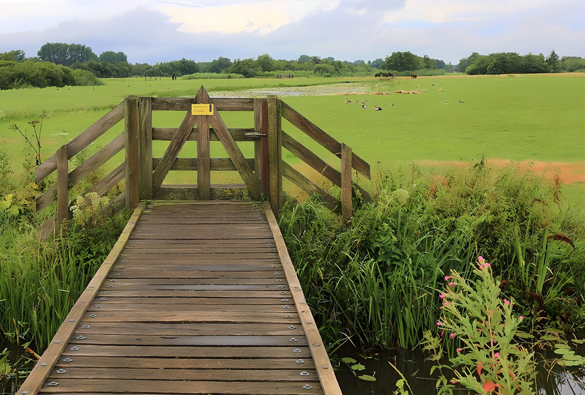 Holzbrücke mit Tor zur grünen Wiese
