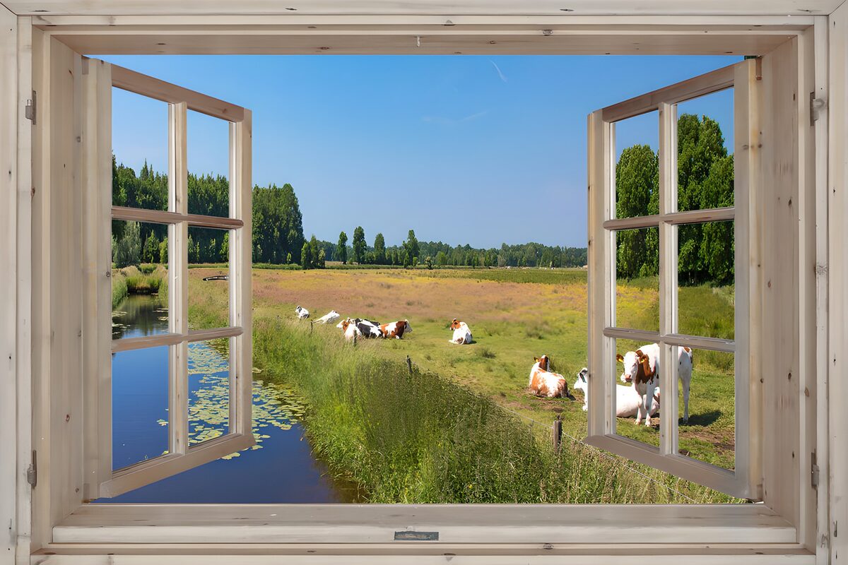 Ein Fenster voller Sommer und Weideglück