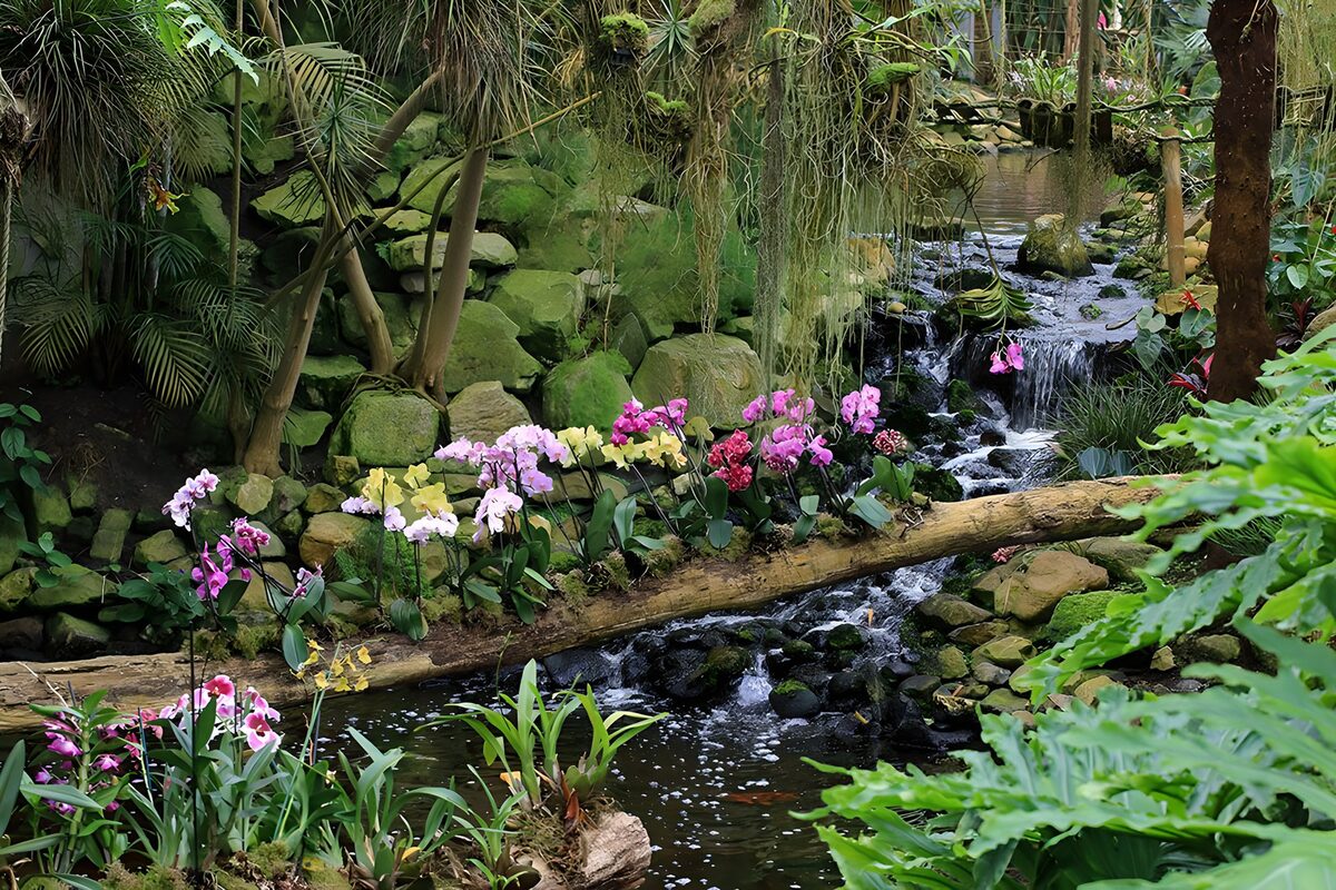 Orchideen und Wasserfall im satten Grün