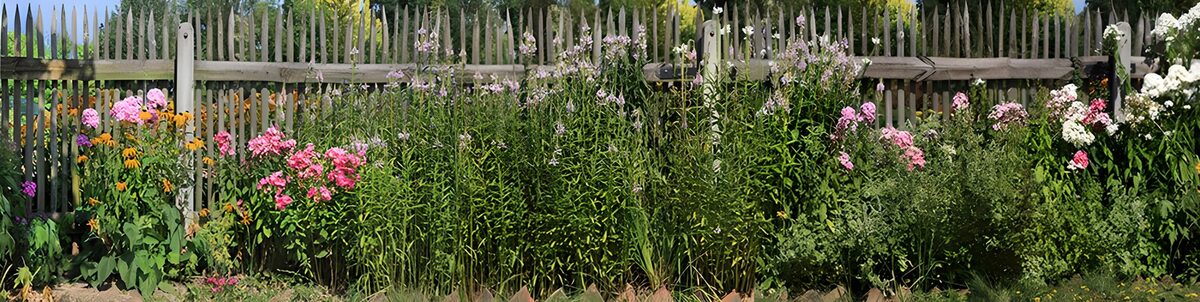 Buntes Sommerbeet vor altem Holzzaun