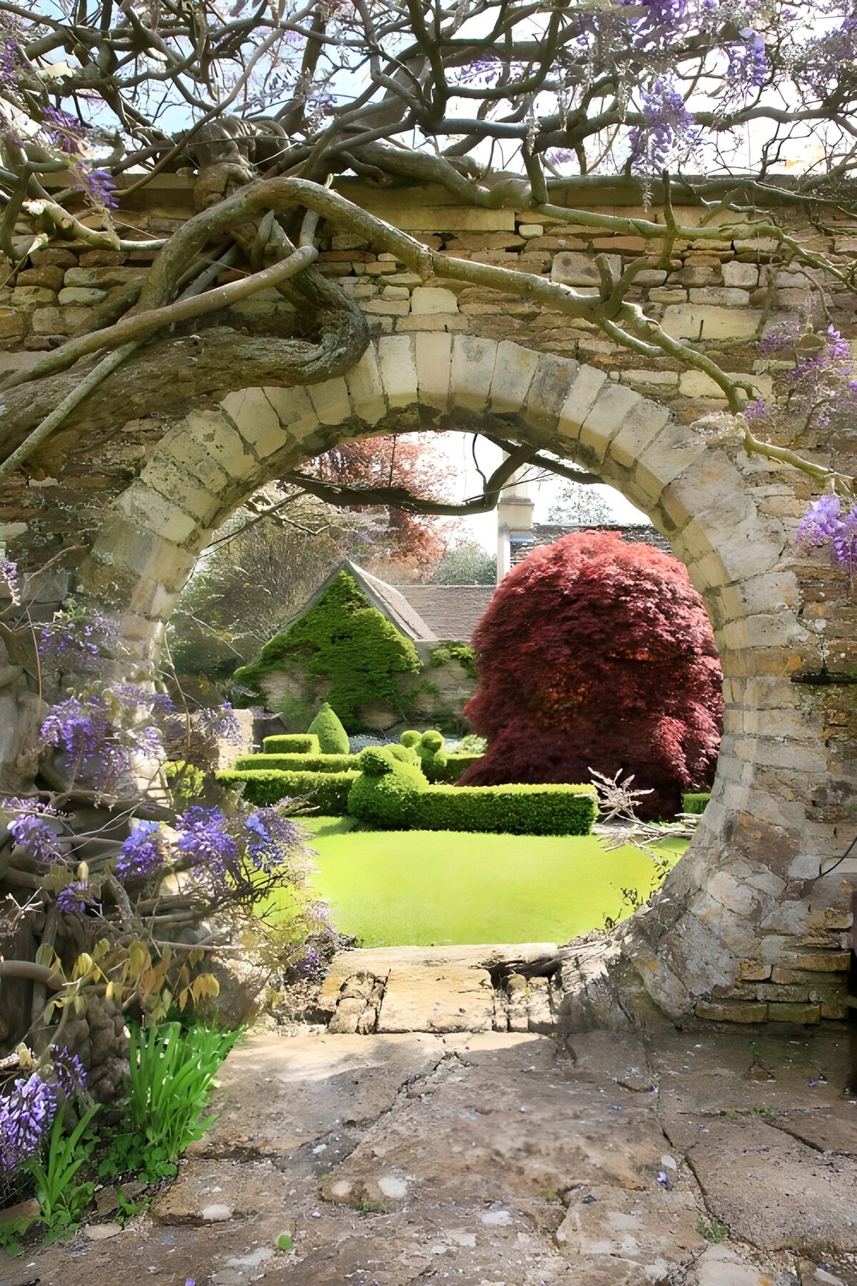 Blauregen rahmt ein grünes Gartenidyll