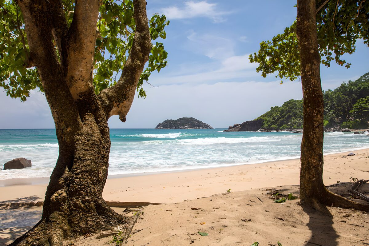 Tropenstrand mit Bäumen und weißer Brandung