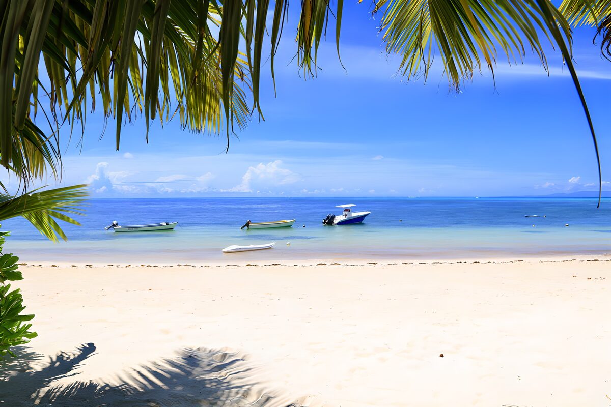 Boote am sonnigen Palmenstrand