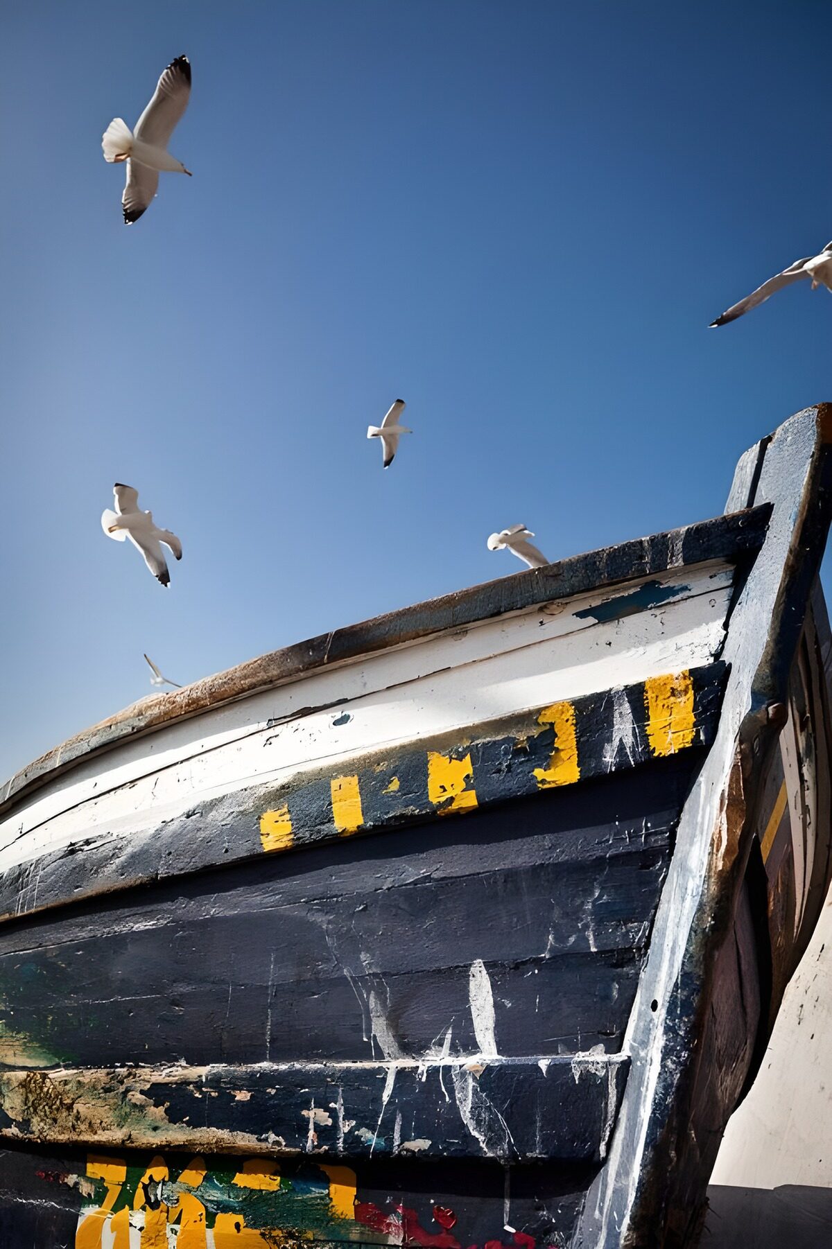Möwen über einem verwitterten Holzboot