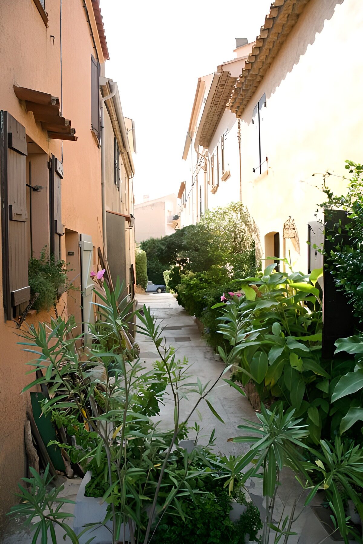 Schmale Gasse mit üppigem Grün