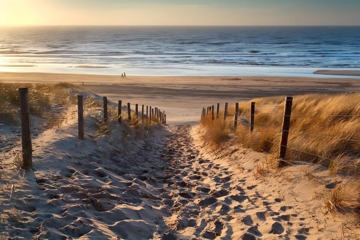 Sandweg zum Meer im warmen Abendlicht