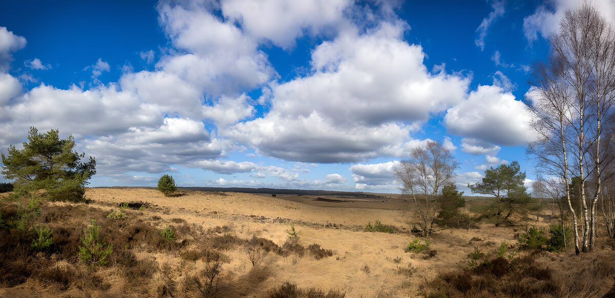 Sandheide unter weißen Wolken
