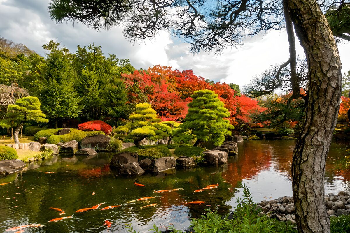 Koiteich im herbstlichen Japangarten