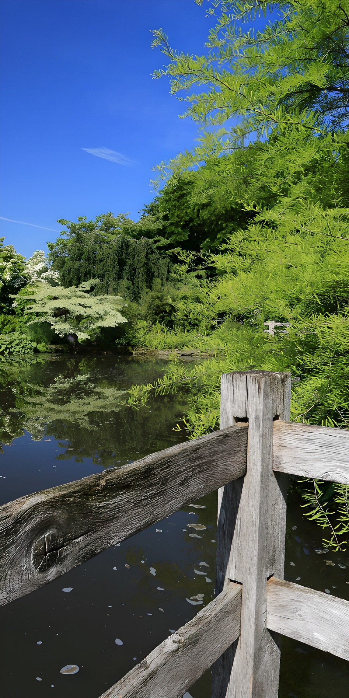 Gartenteich mit rustikalem Holzgeländer
