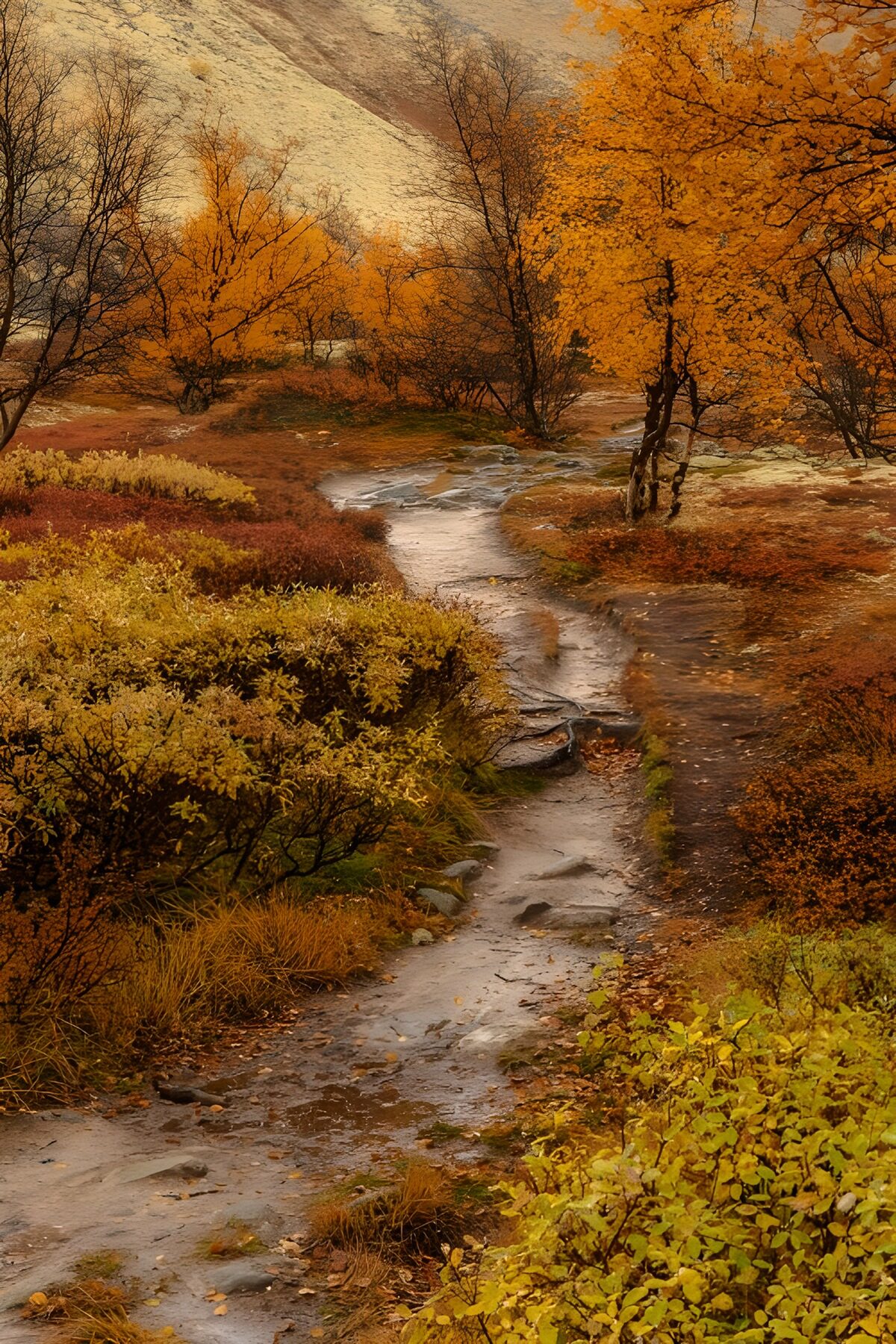 Nasser Waldweg im gelben Herbstlaub