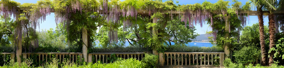 Blauregenpergola mit sonnigem Meerblick