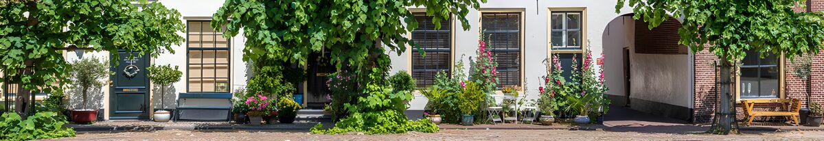 Begrünte Hausfassaden im Sommerlicht