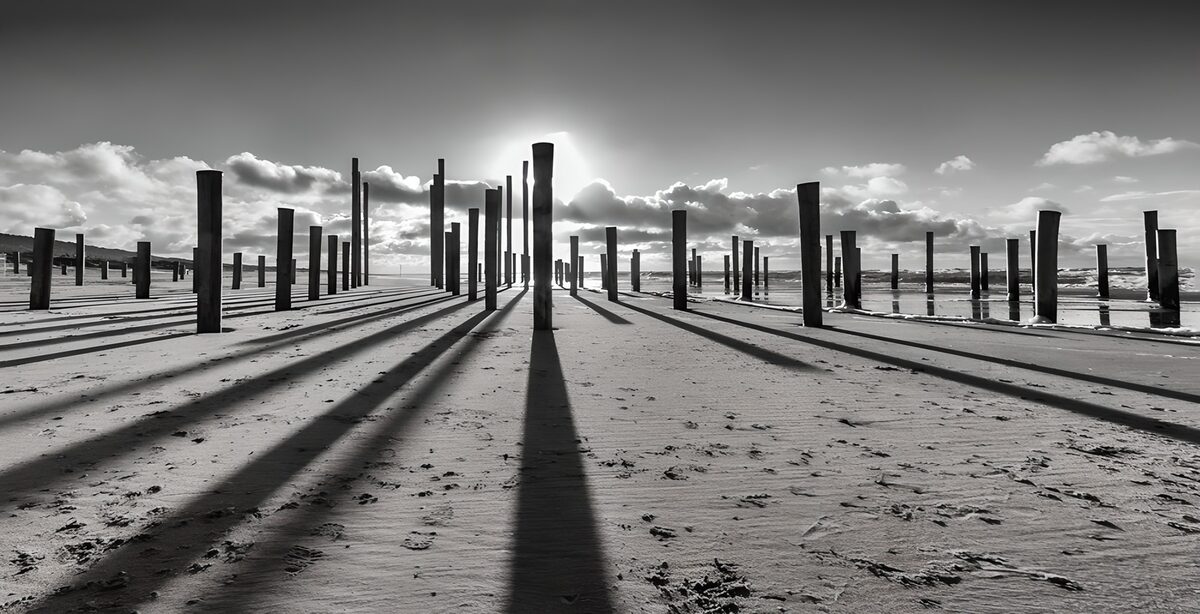 Holzpfähle am Strand im Gegenlicht