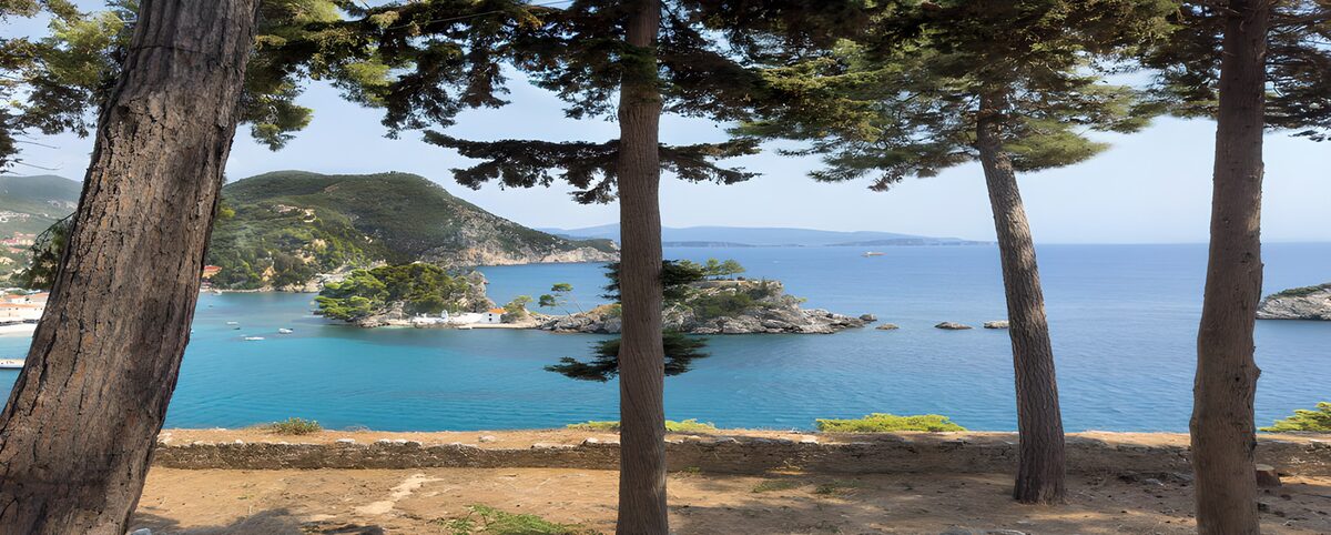 Türkisblaue Bucht im Schatten der Bäume