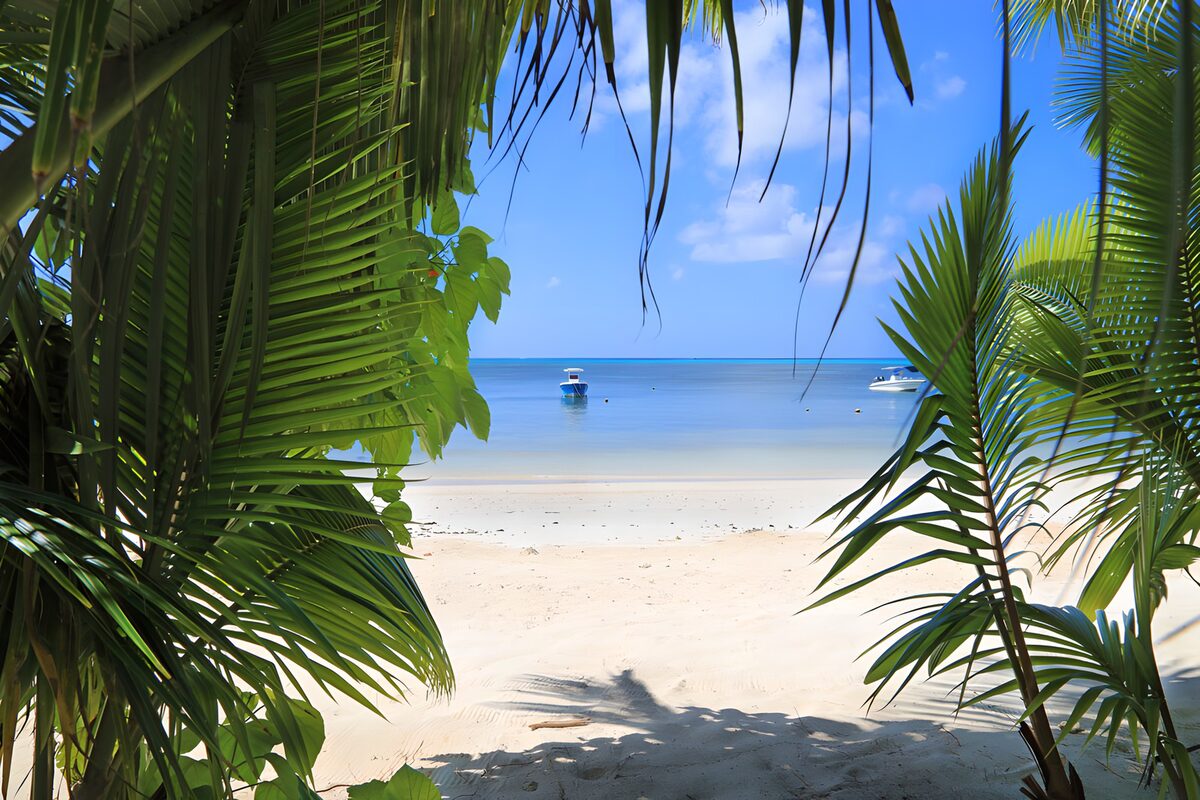 Palmen, heller Sand und stilles Meer
