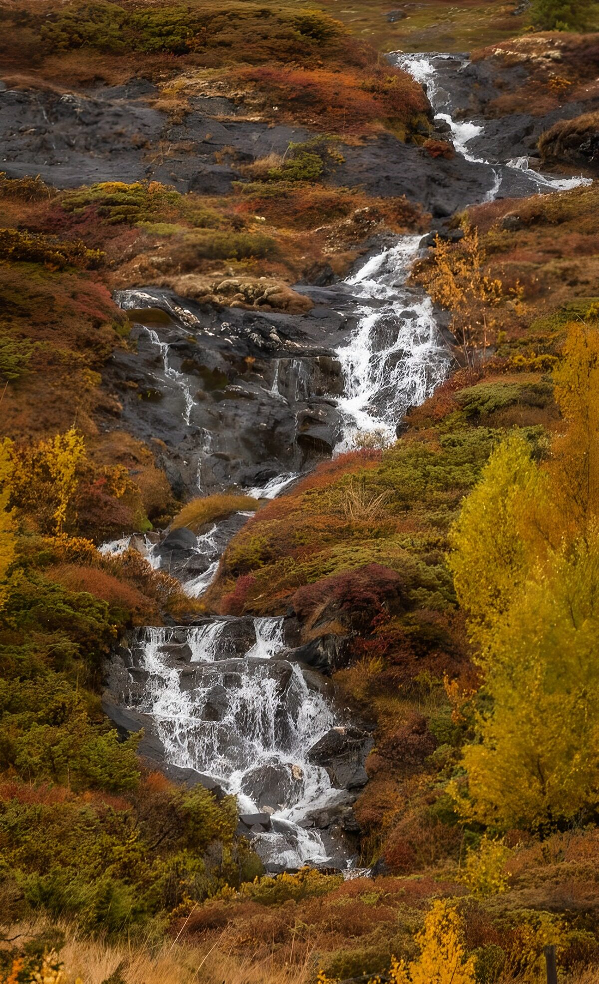 Wasserfälle zwischen Fels und Herbstlaub