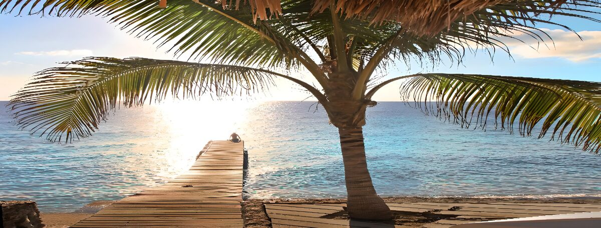 Palme und Holzsteg am ruhigen Meer