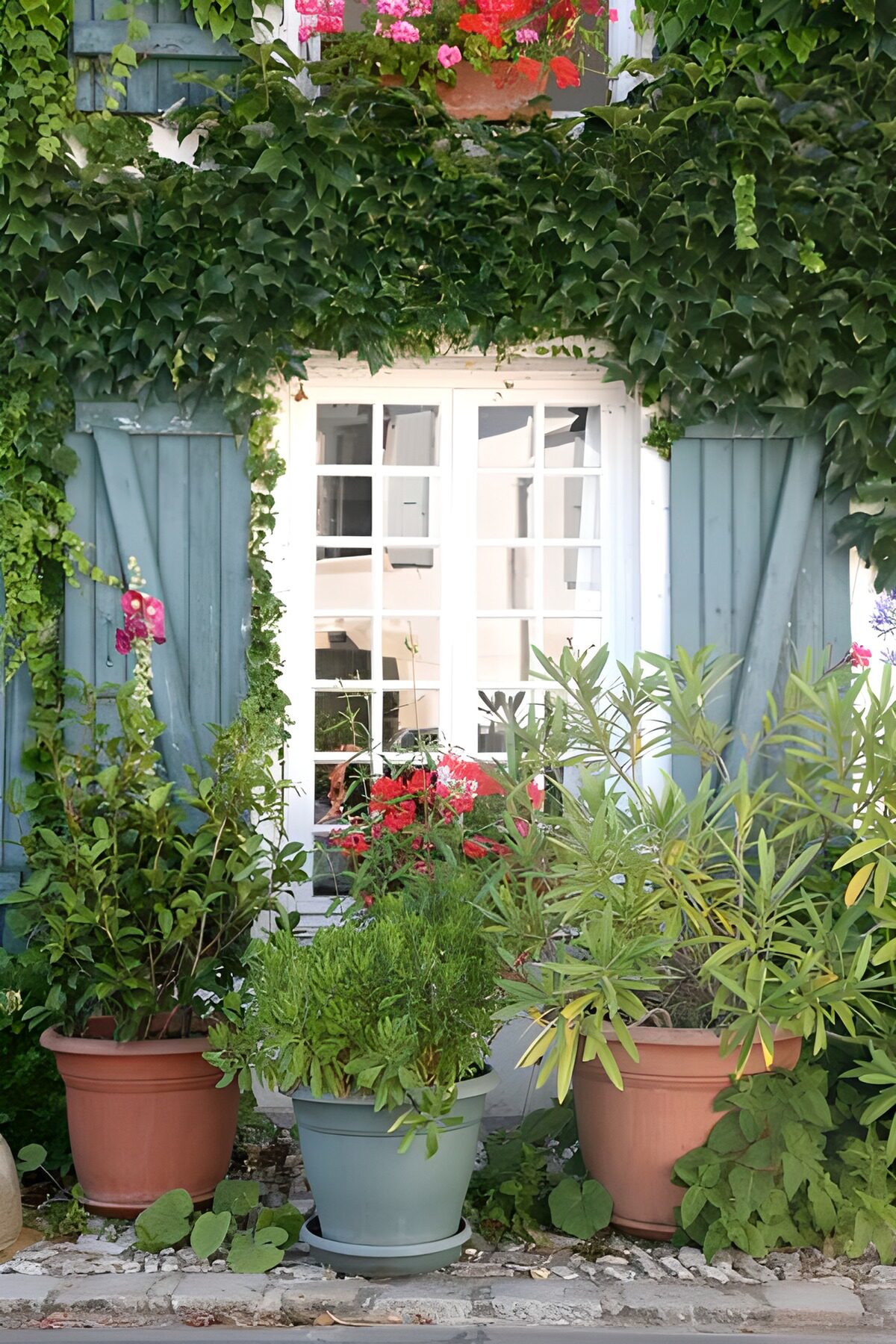 Fenster mit blaugrauen Läden im Grünen