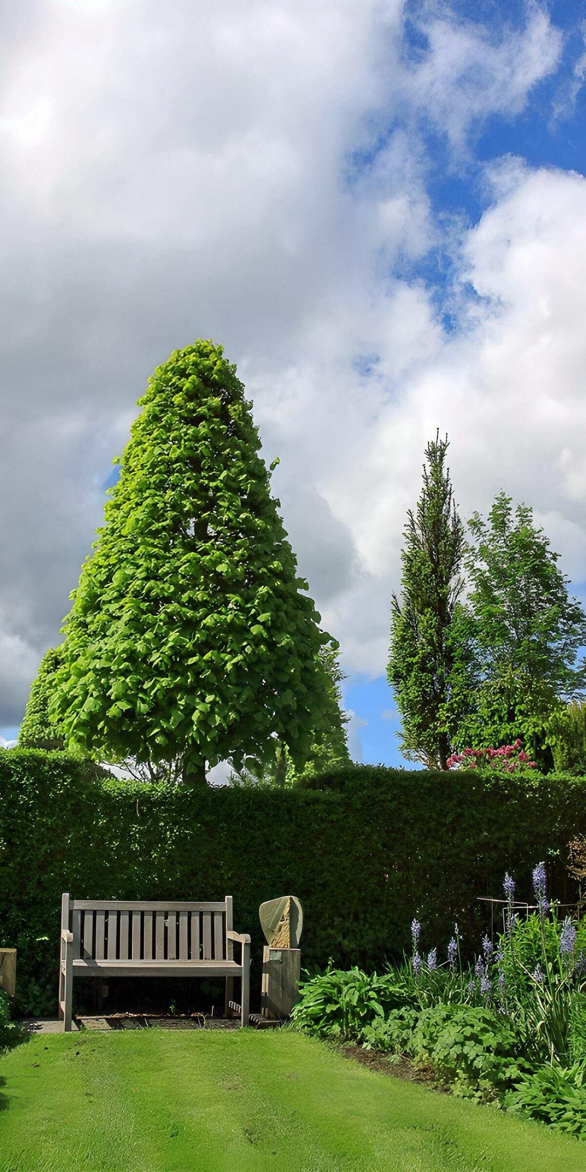 Gartenbank zwischen Hecke und Blüten