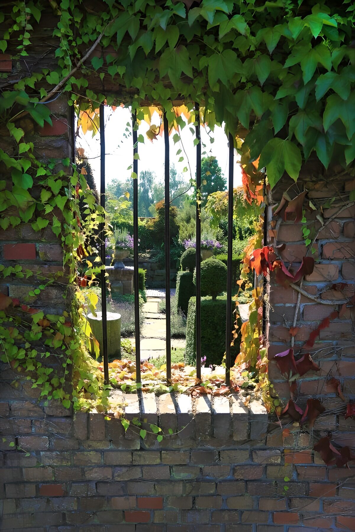 Gartenblick durchs alte Gitterfenster