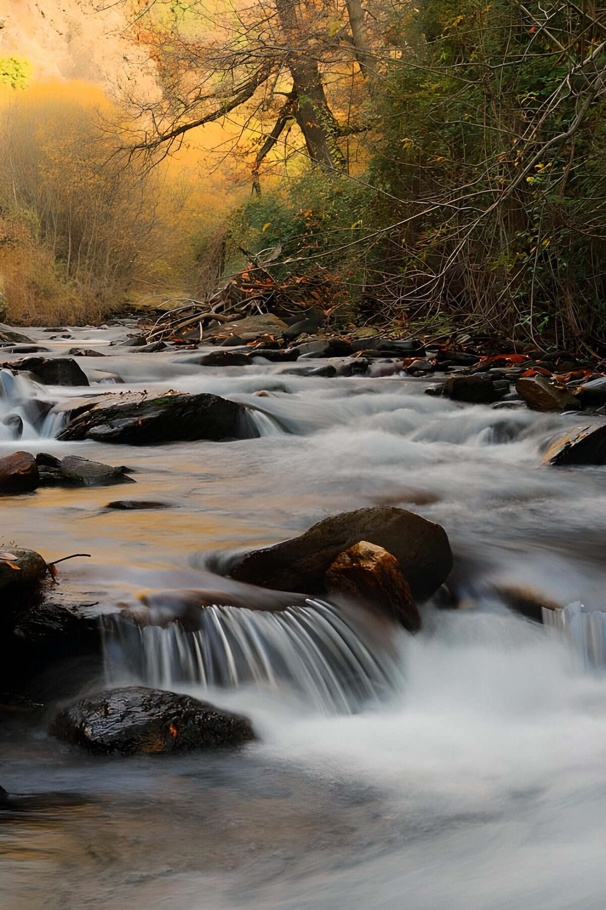 Waldbach mit Kaskaden im Herbstlicht
