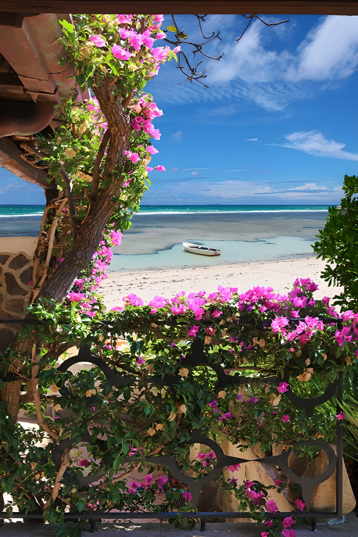 Strandblick durch rosa Bougainvillea