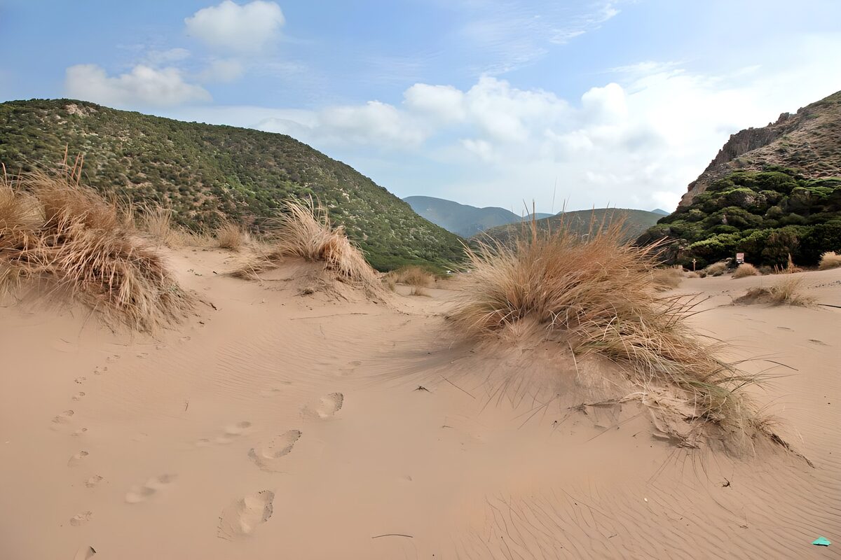Goldene Sanddünen vor grünen Hügeln