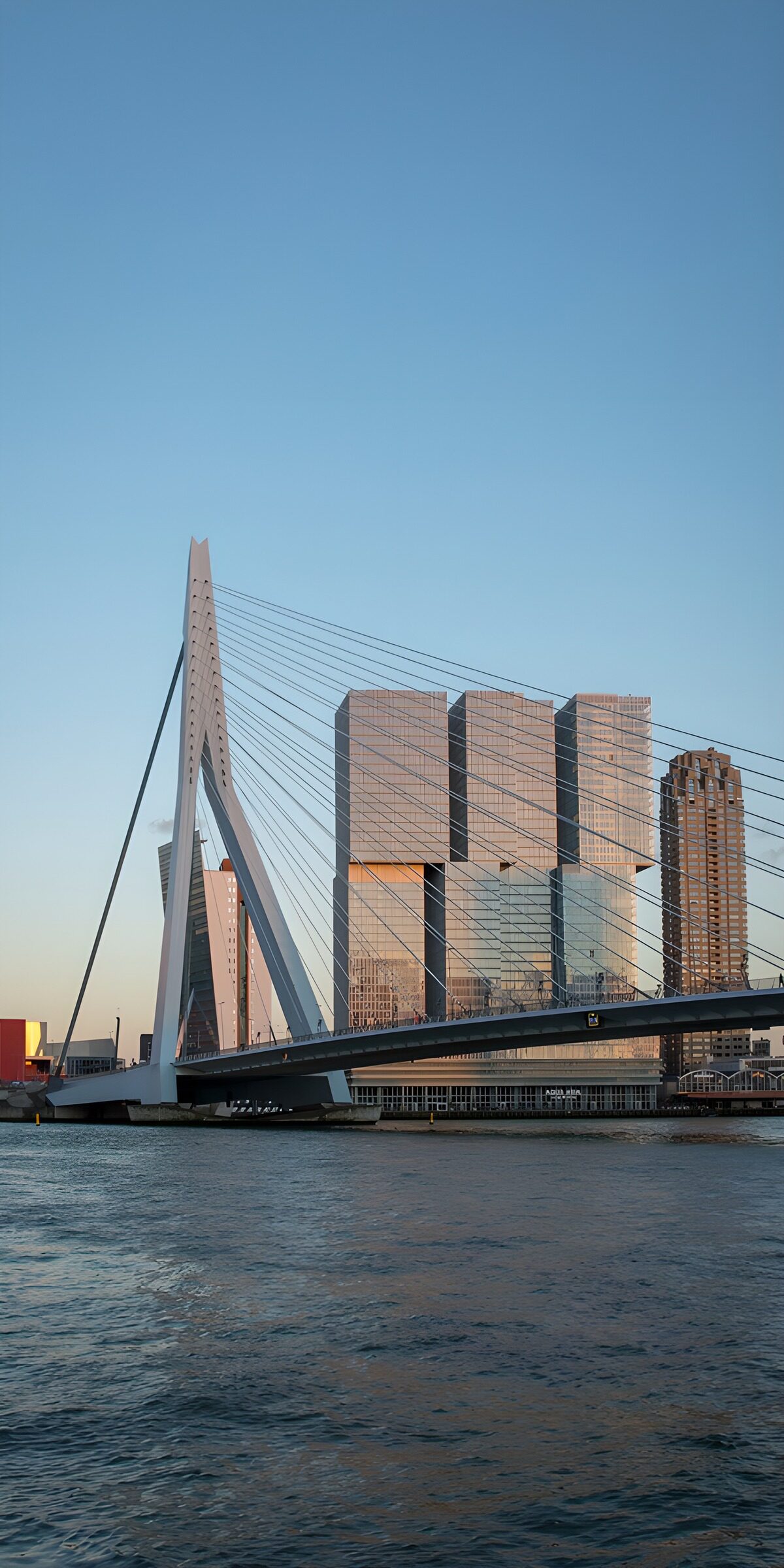 Erasmusbrücke im warmen Sonnenlicht