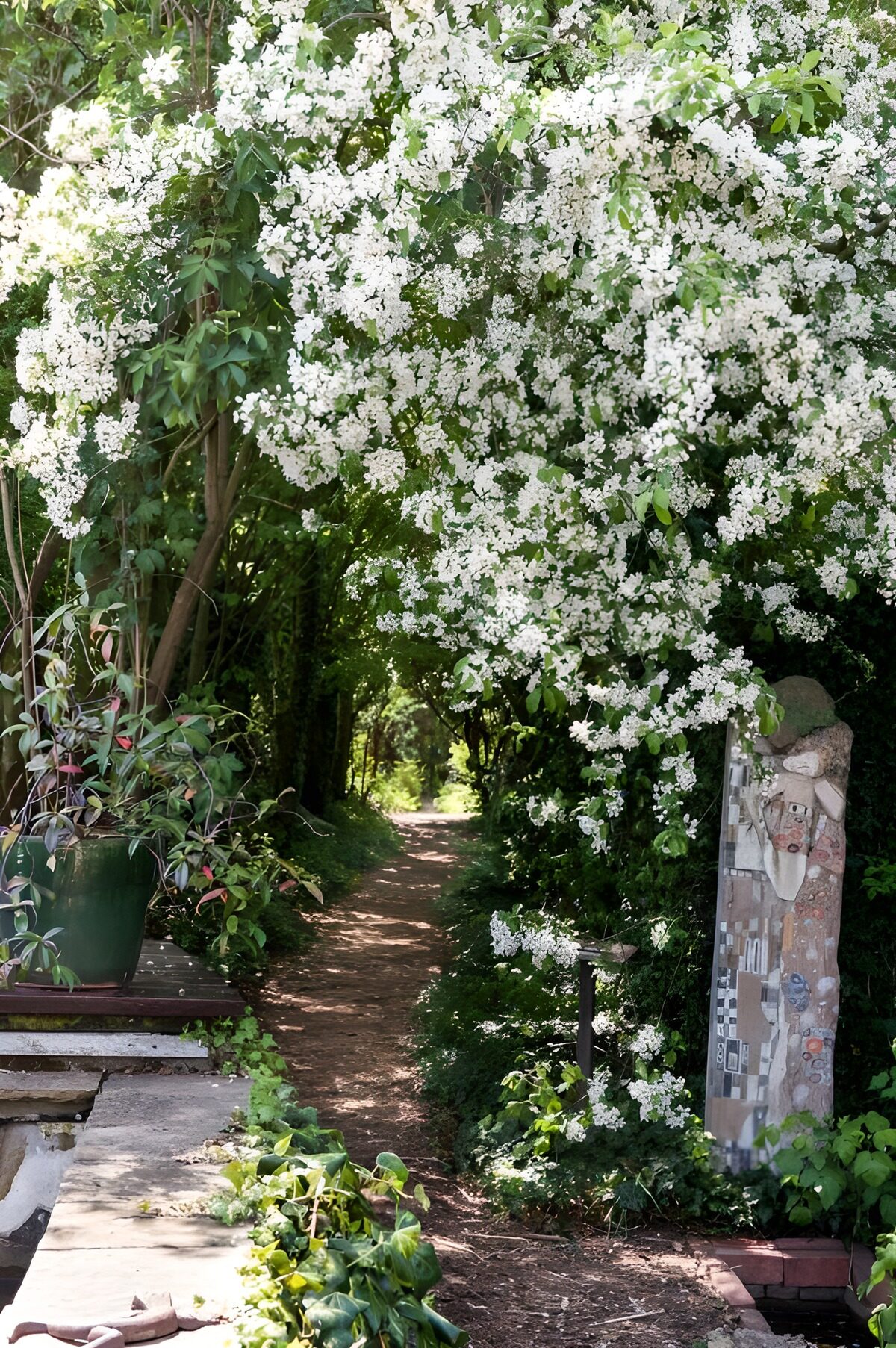 Schattiger Gartenweg unter weißen Blüten