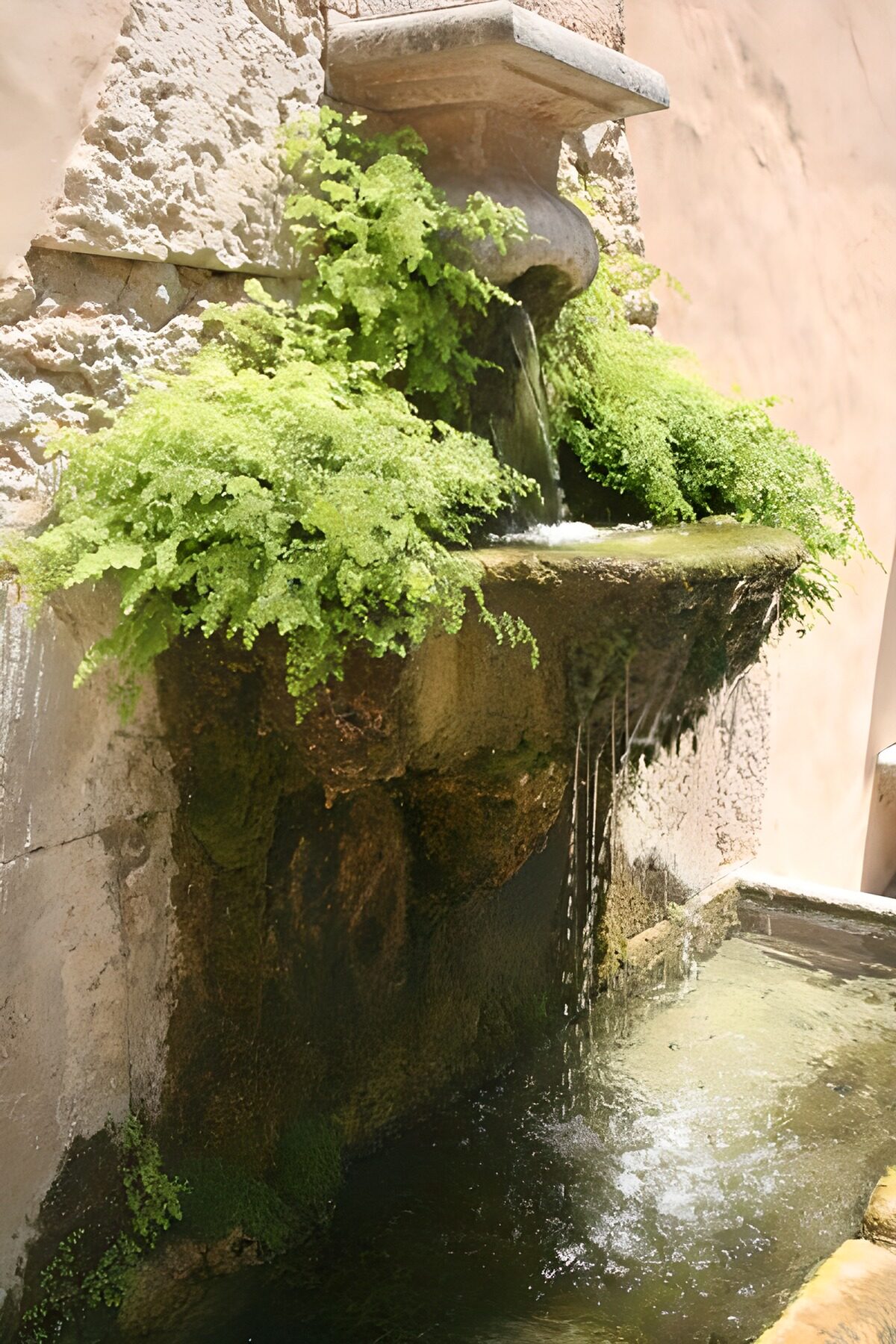 Alter Steinbrunnen zwischen Farnen