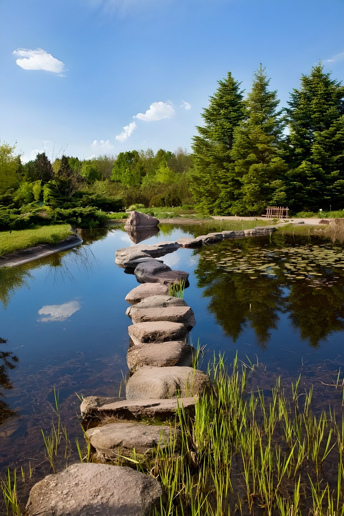 Trittsteine durch den stillen Gartenteich
